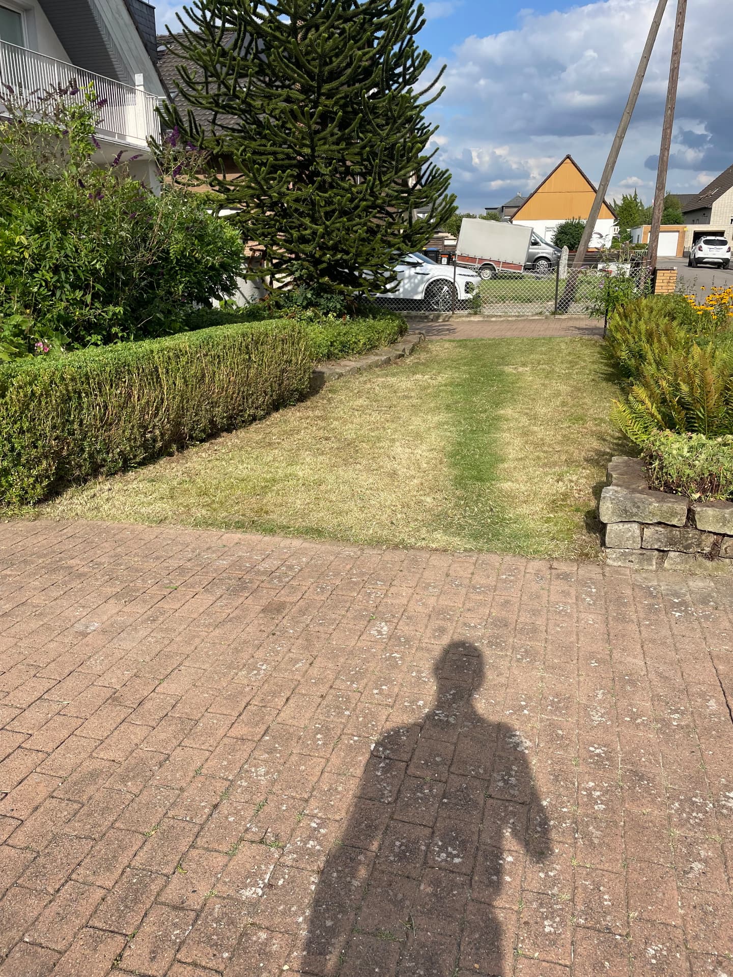 Rasenpflege – Nachher